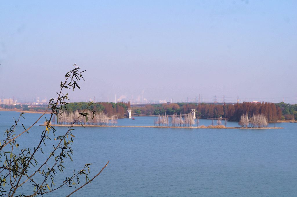 dsc08664.jpg
