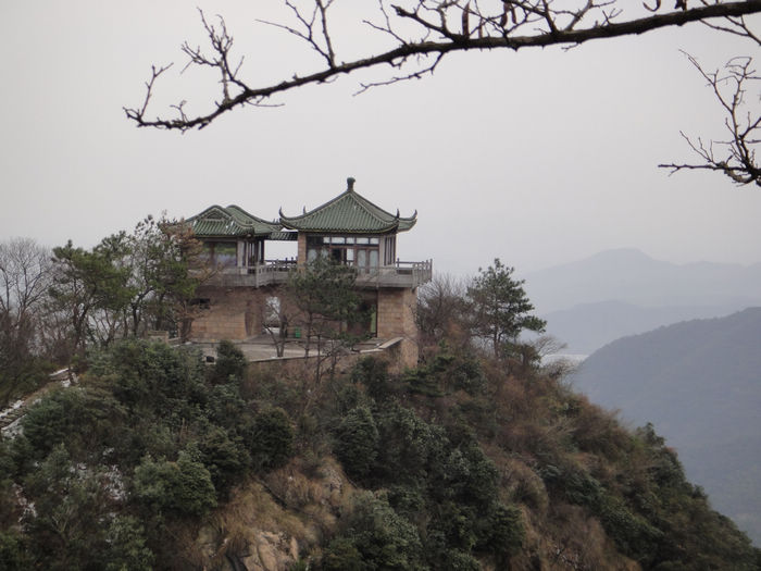 neo_img_dsc04952.jpg