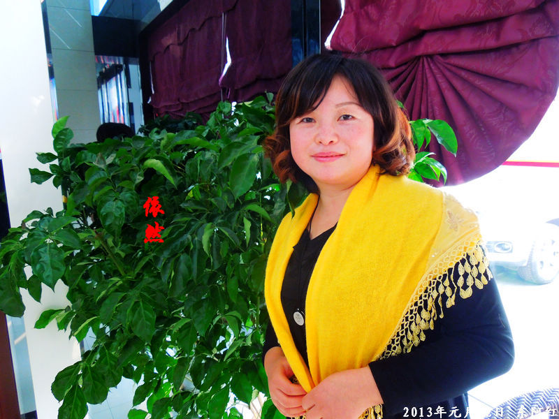 dscn4020.jpg