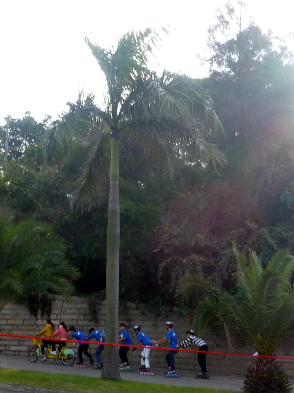 p1020222.jpg