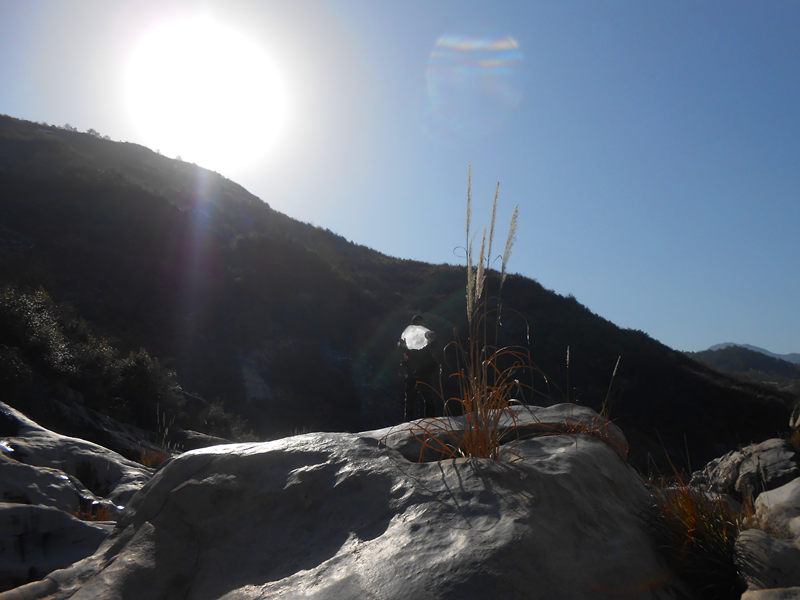 dscn0288_.jpg