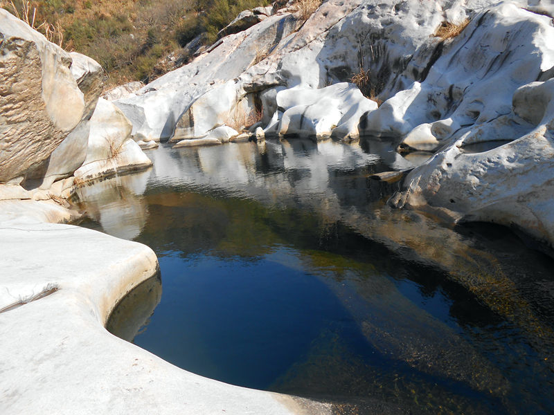 dscn0300_.jpg