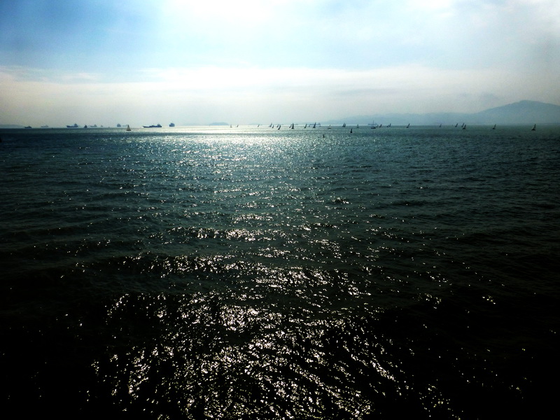 p1020284.jpg