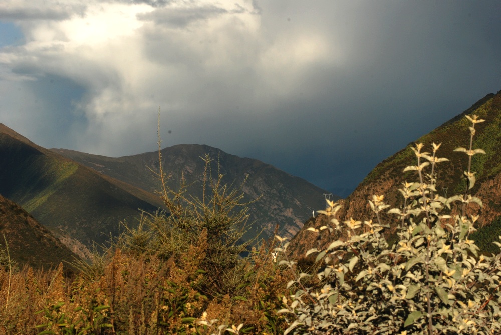 dsc_0032.jpg
