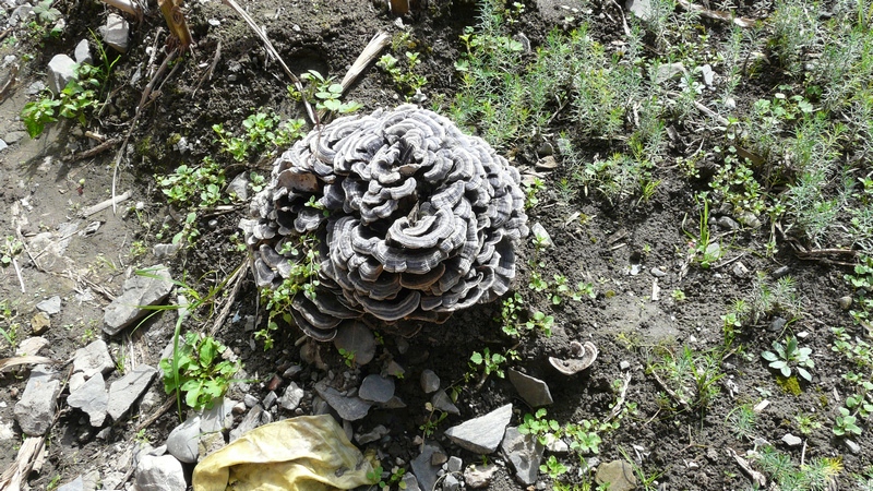 115.jpg