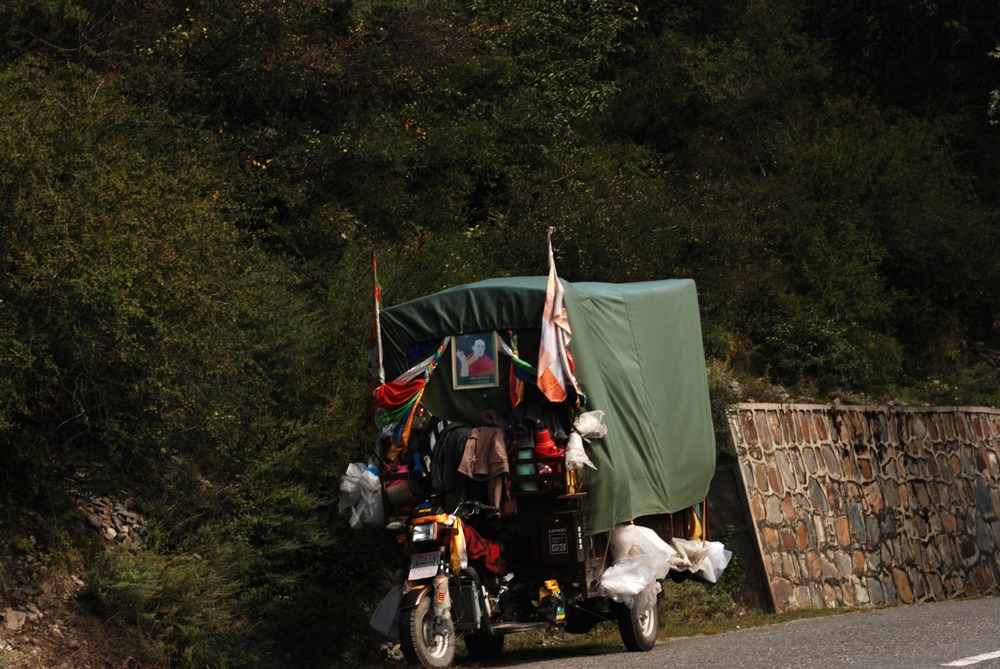 dsc_0993.jpg