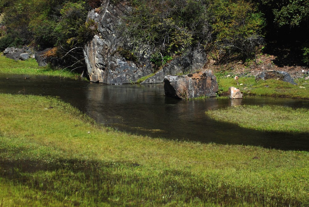 dsc_1004.jpg
