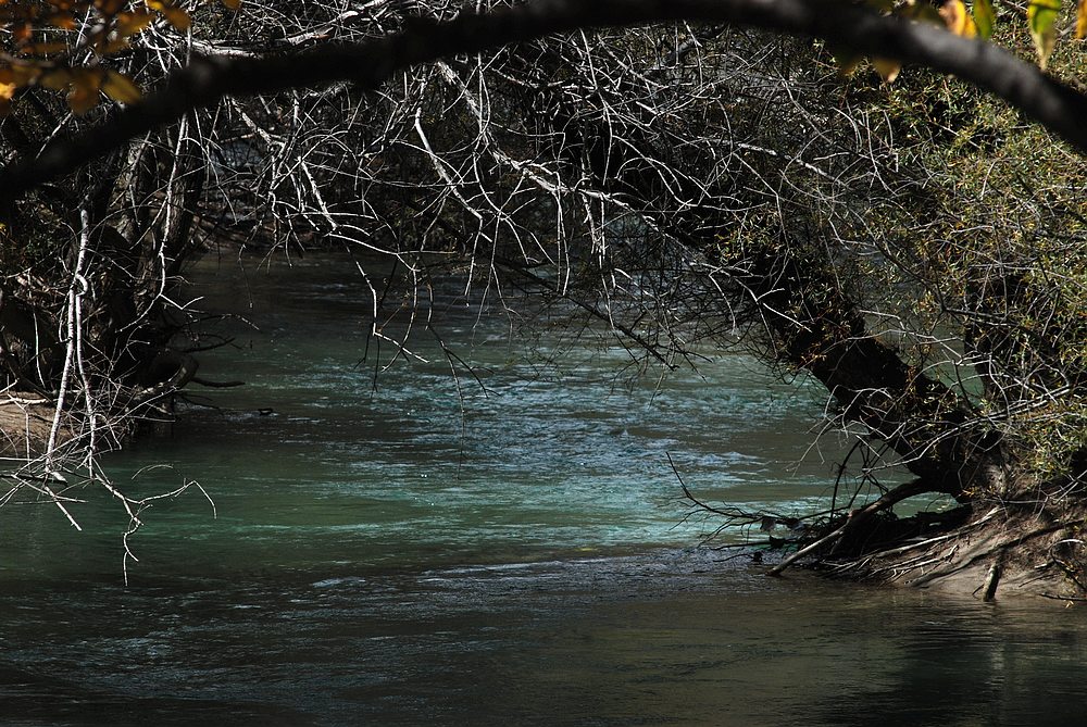 dsc_1008.jpg