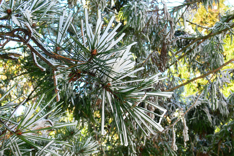 p1250016.jpg