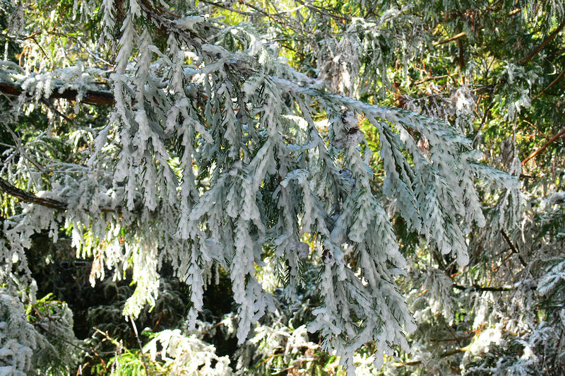 p1250018.jpg
