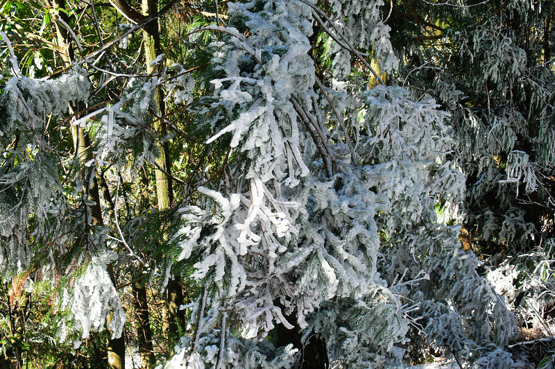 p1250019.jpg