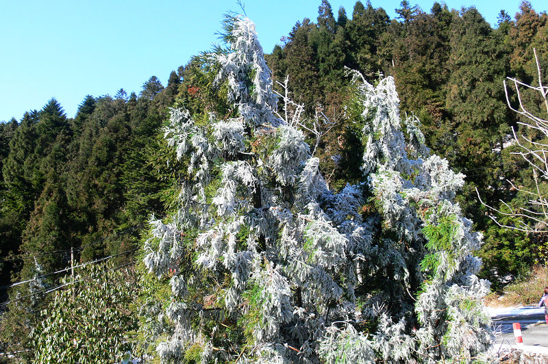 p1250022.jpg