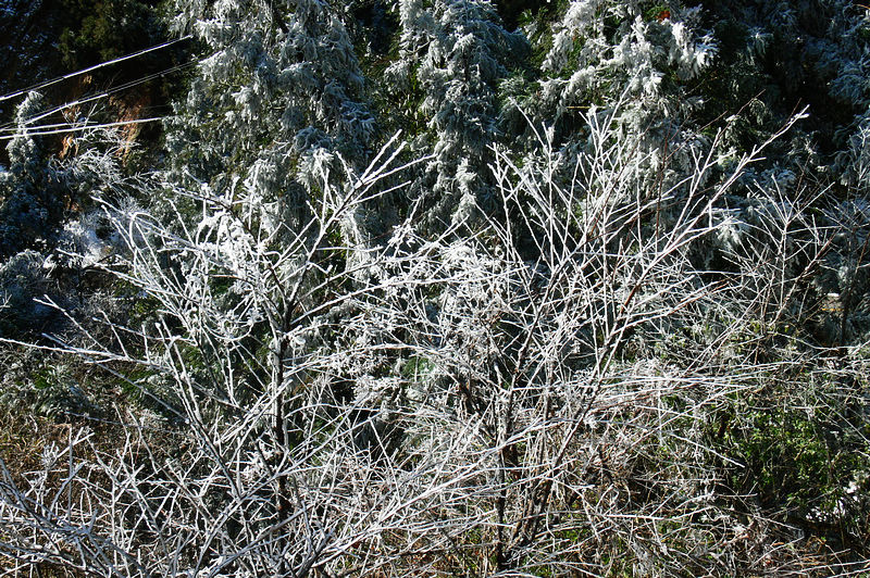p1250024.jpg