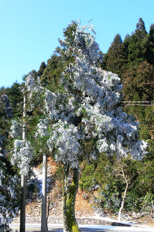 p1250025.jpg