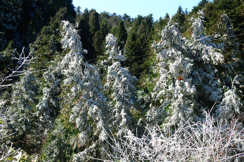 p1250026.jpg
