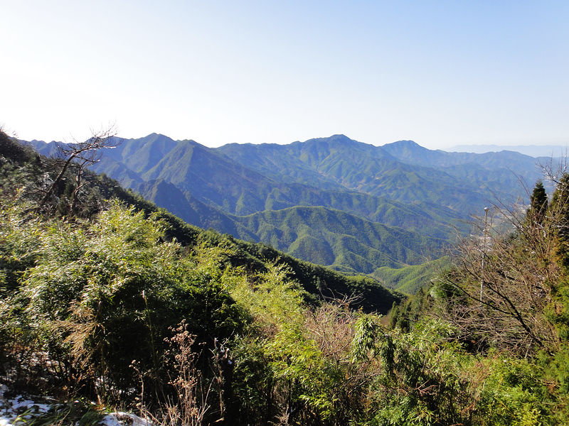 dsc08625.jpg