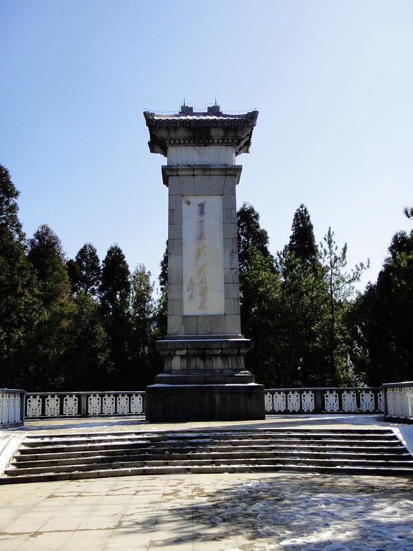 dsc08630.jpg