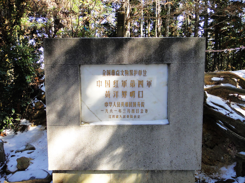 dsc08634.jpg