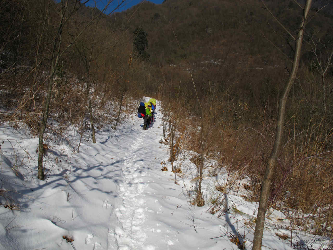 20131112341232783.jpg