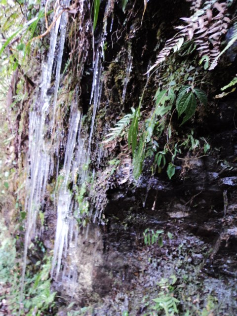 dsc07935.jpg