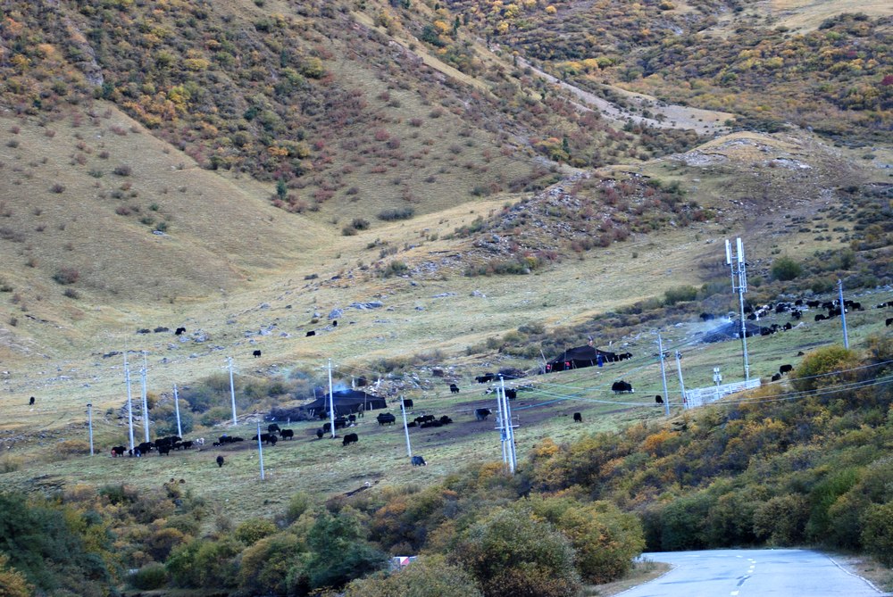 dsc_0263.jpg