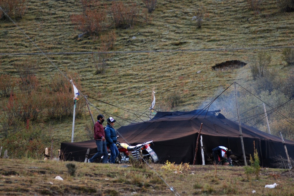 dsc_0259.jpg
