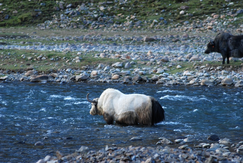 dsc_0320.jpg