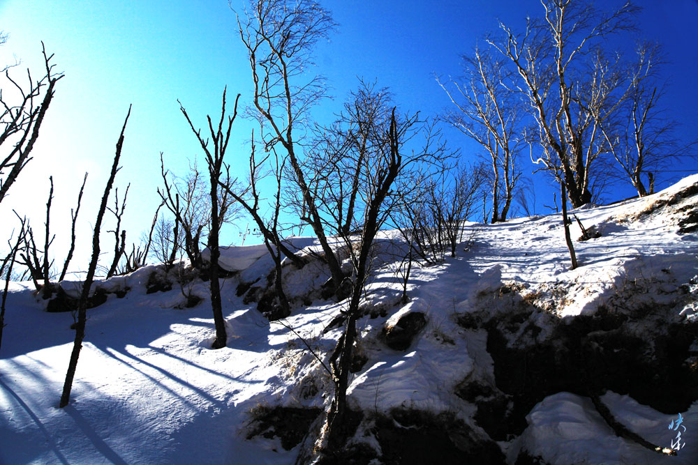img_3096.jpg