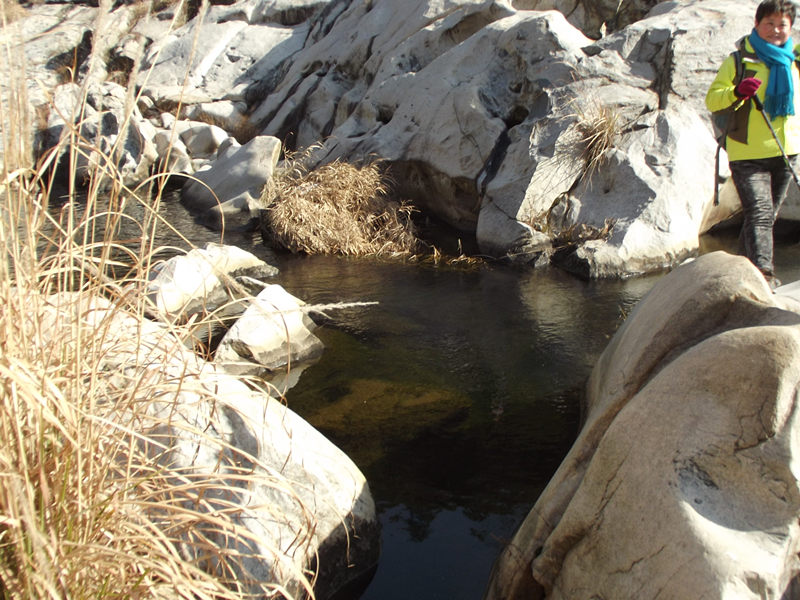 dscf0176_.jpg