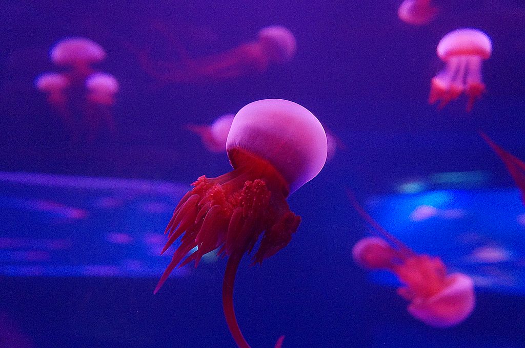 dsc09625.jpg
