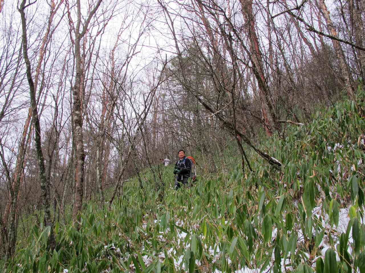 2013.1. 165.jpg
