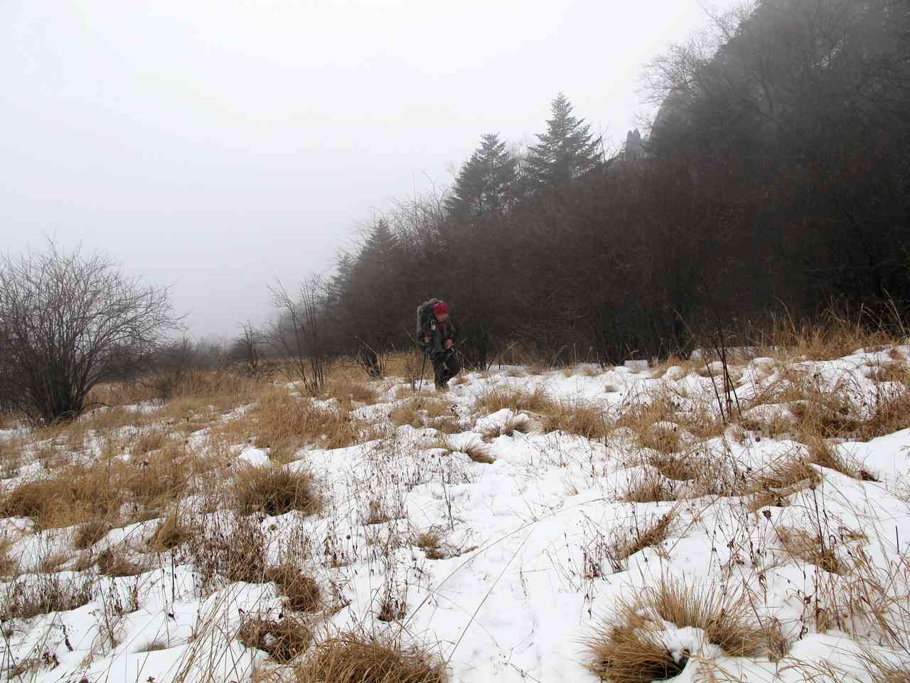 2013.1. 201.jpg