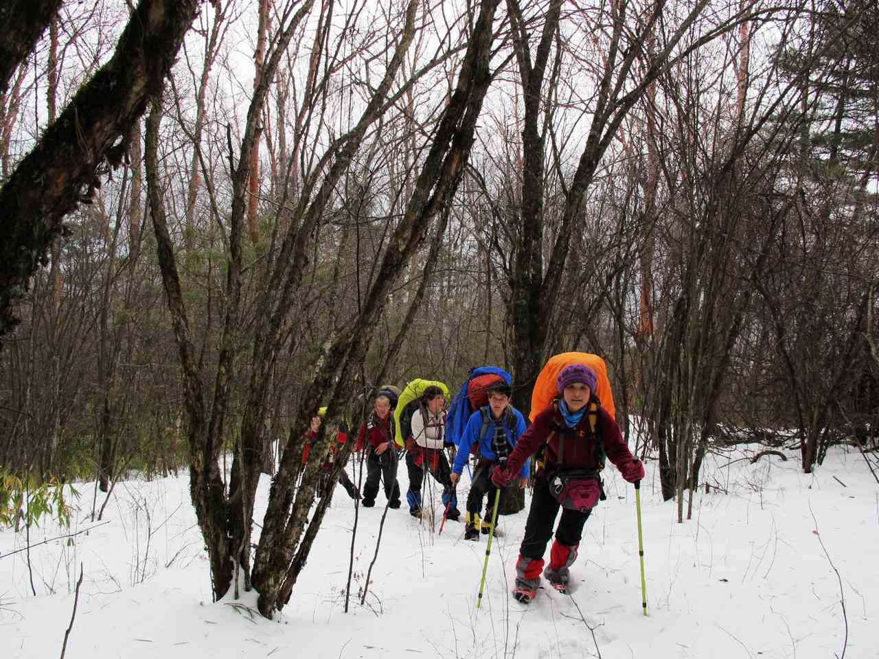 2013.1. 176.jpg