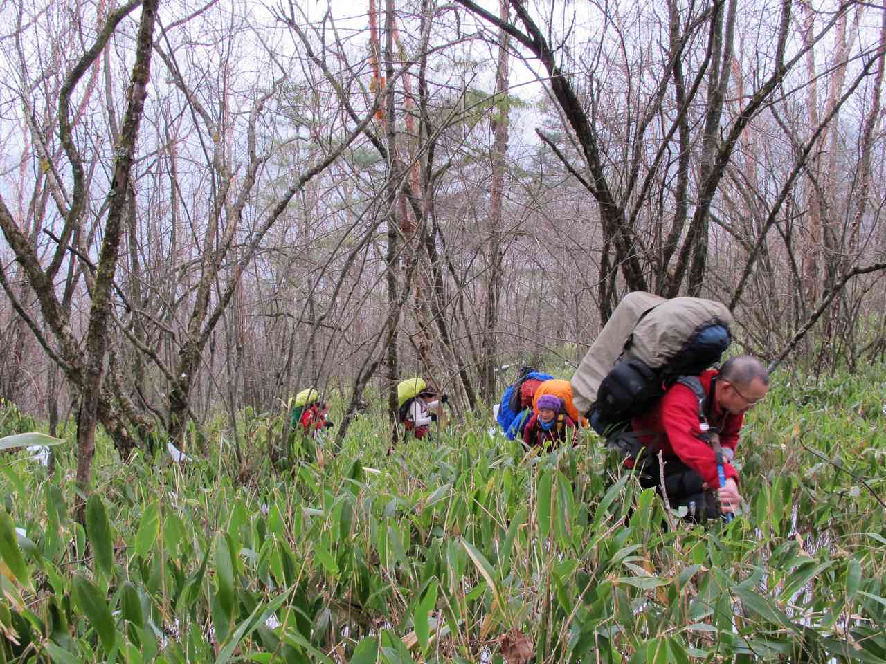 2013.1. 169.jpg