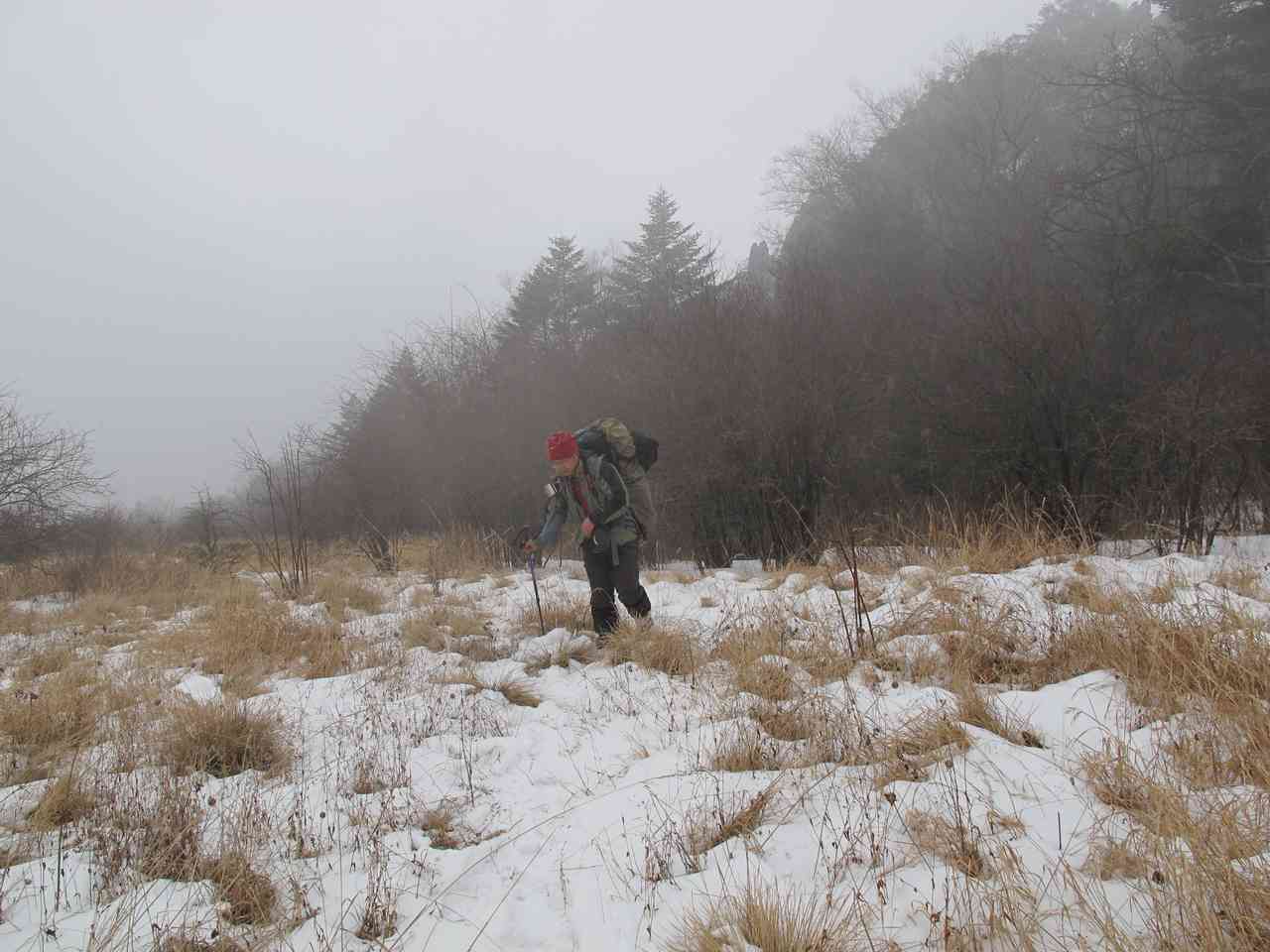 2013.1. 202.jpg