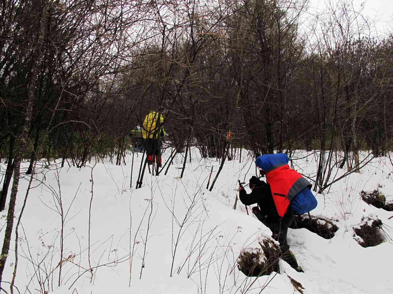 2013.1. 181.jpg