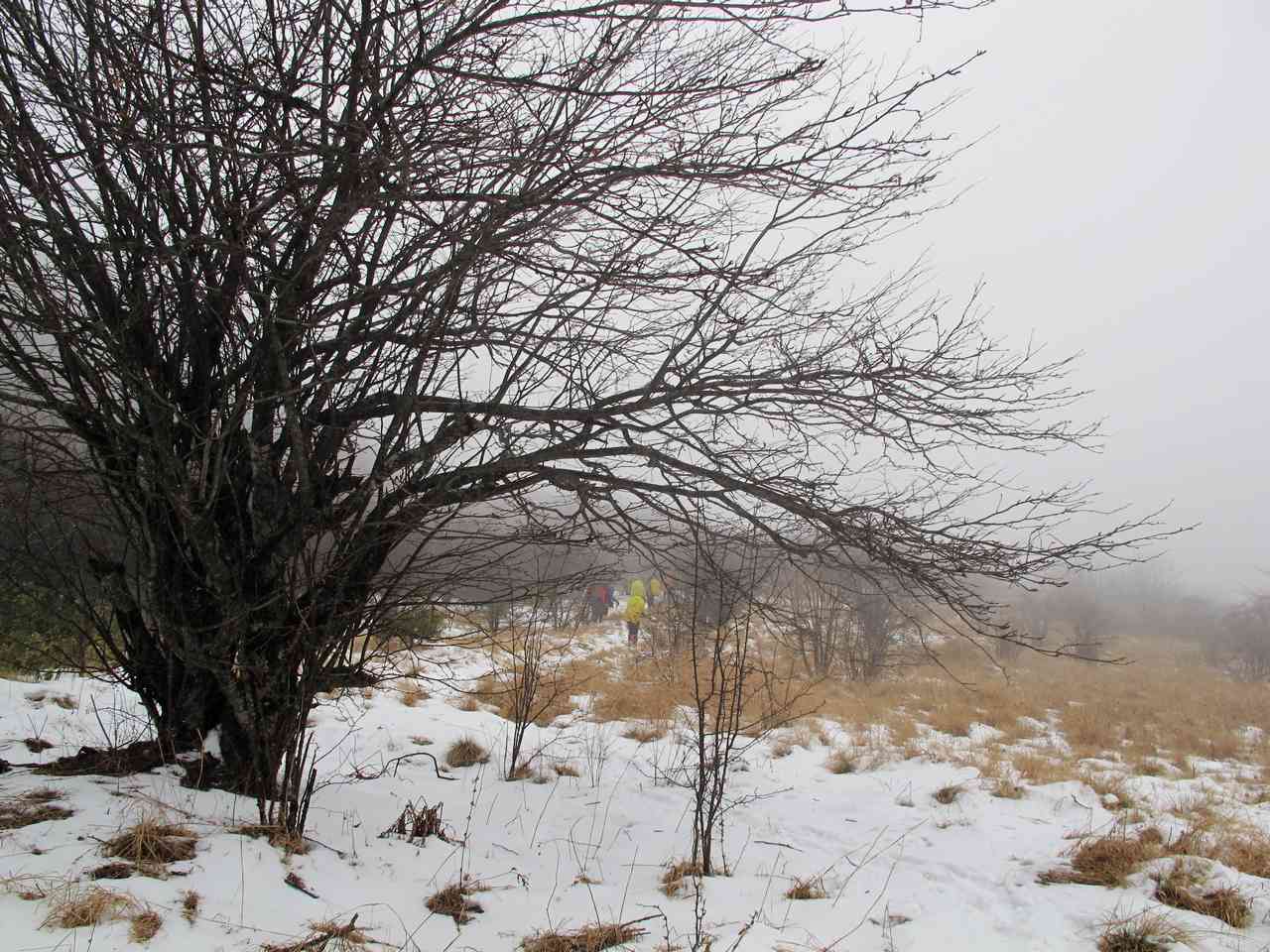2013.1. 203.jpg