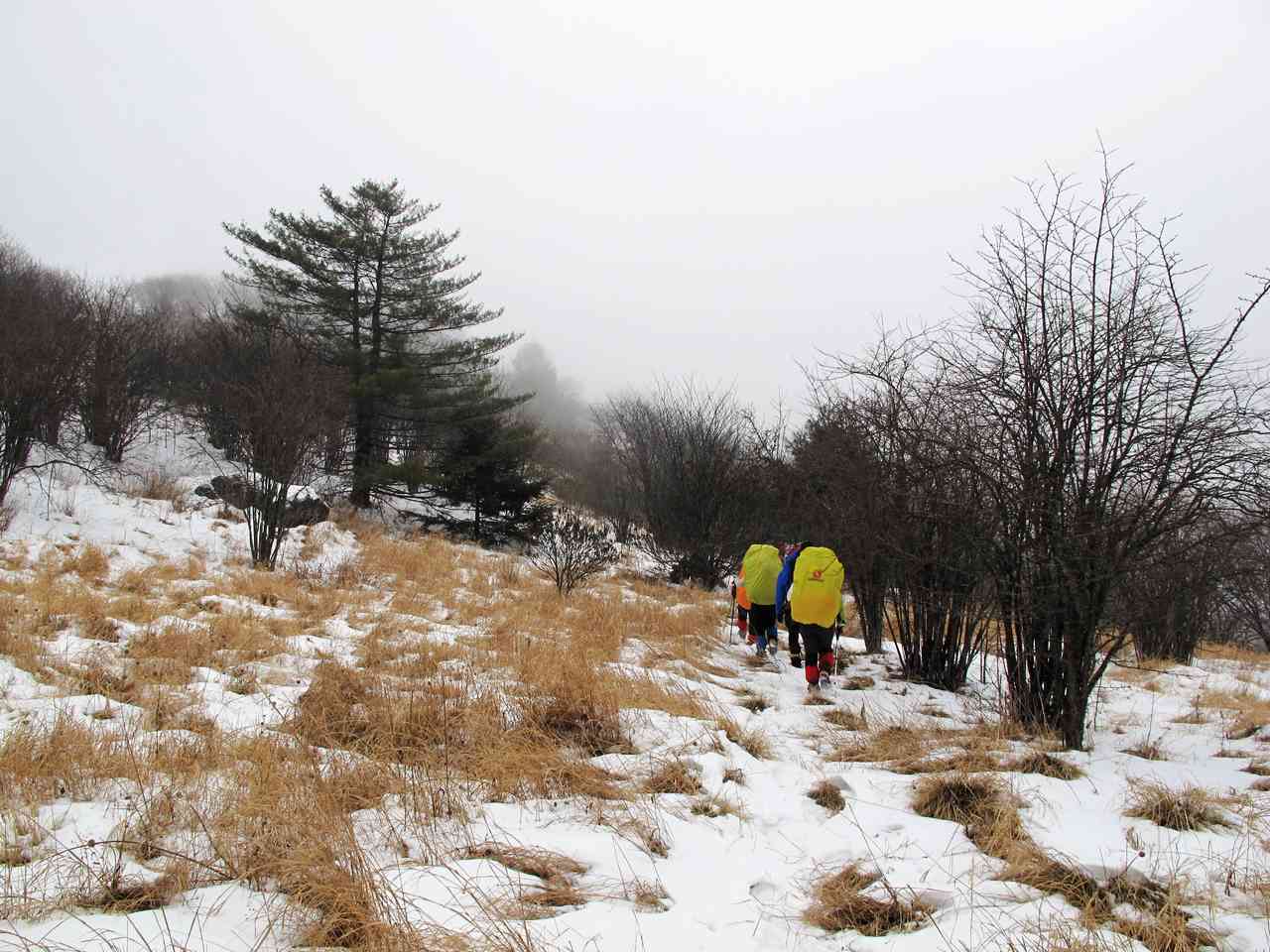 2013.1. 211.jpg