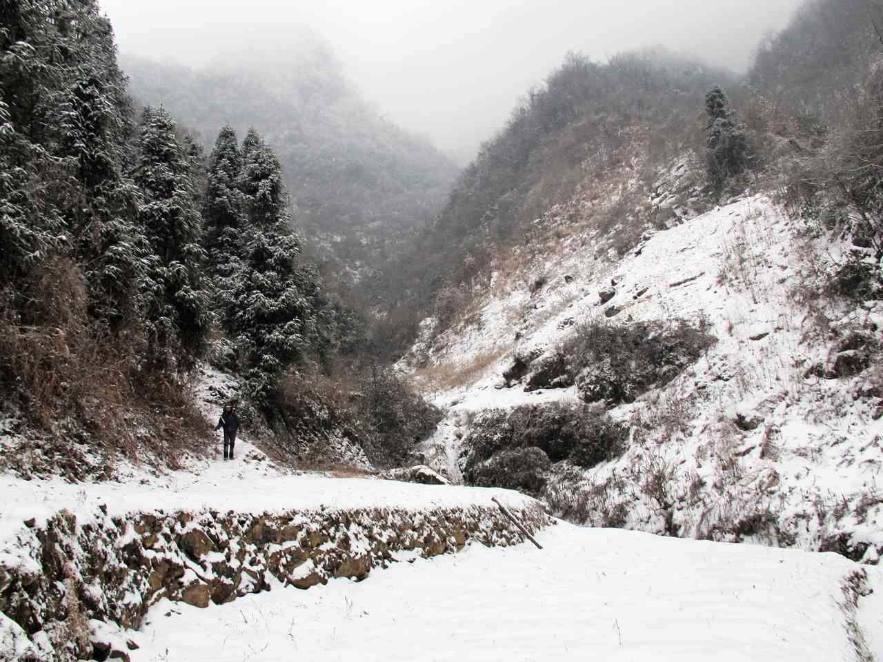 2013.1. 233.jpg
