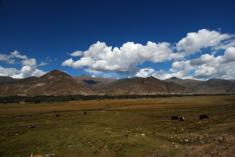 dsc_0472.jpg