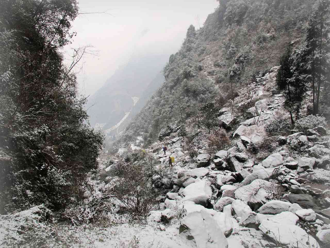 2013.1. 247.jpg