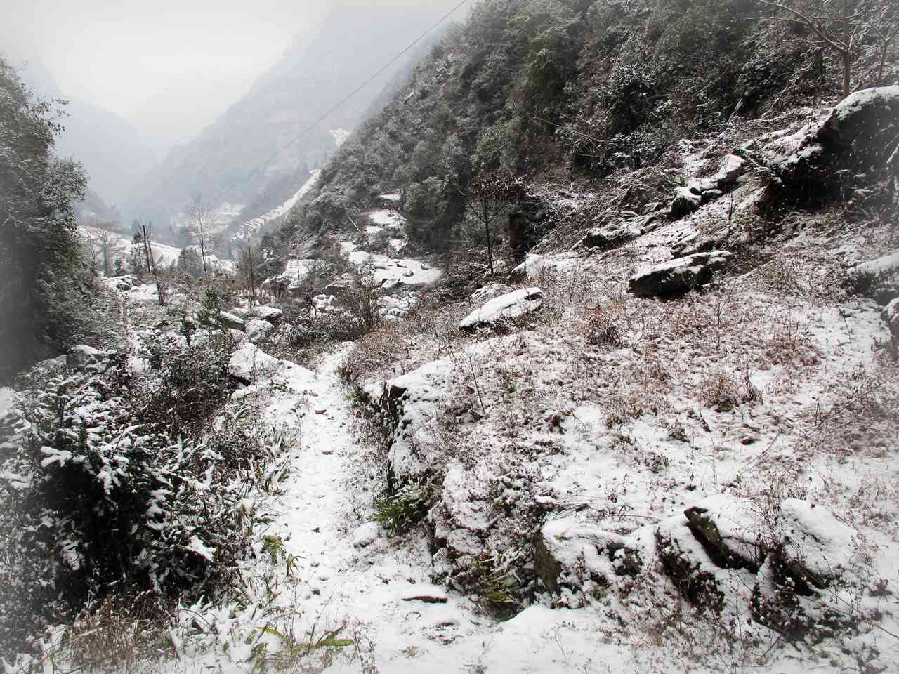 2013.1. 251.jpg