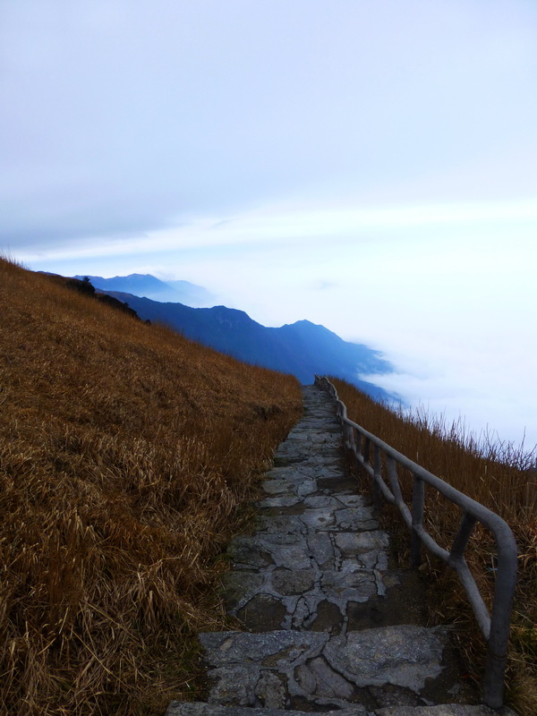 p1020631.jpg