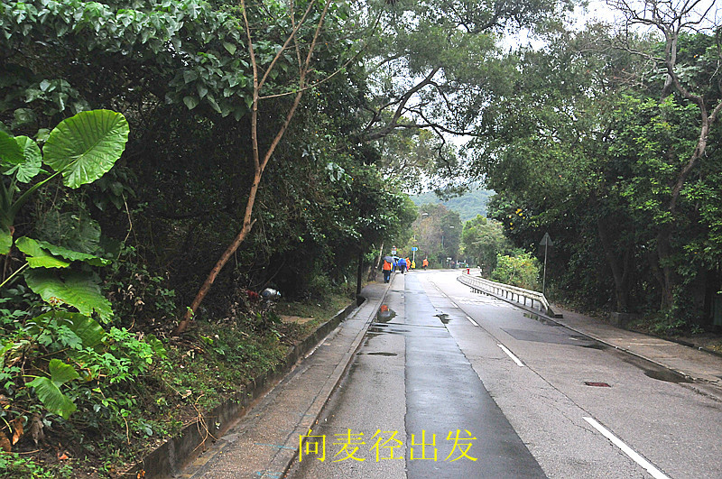 dsc_8531__.jpg