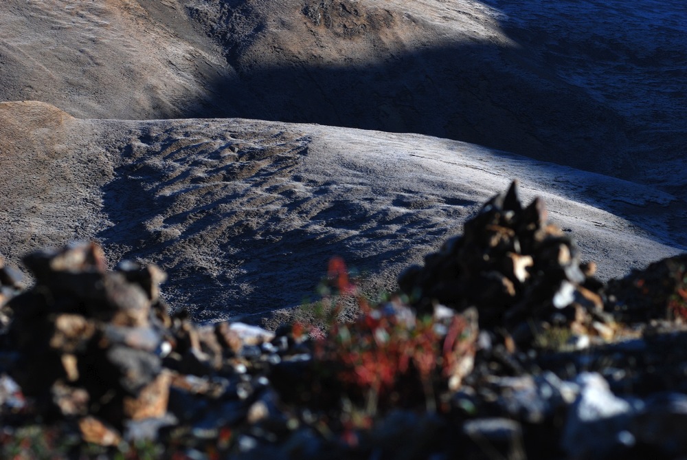 dsc_0360.jpg
