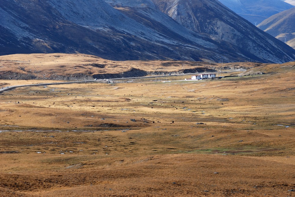 dsc_0417.jpg