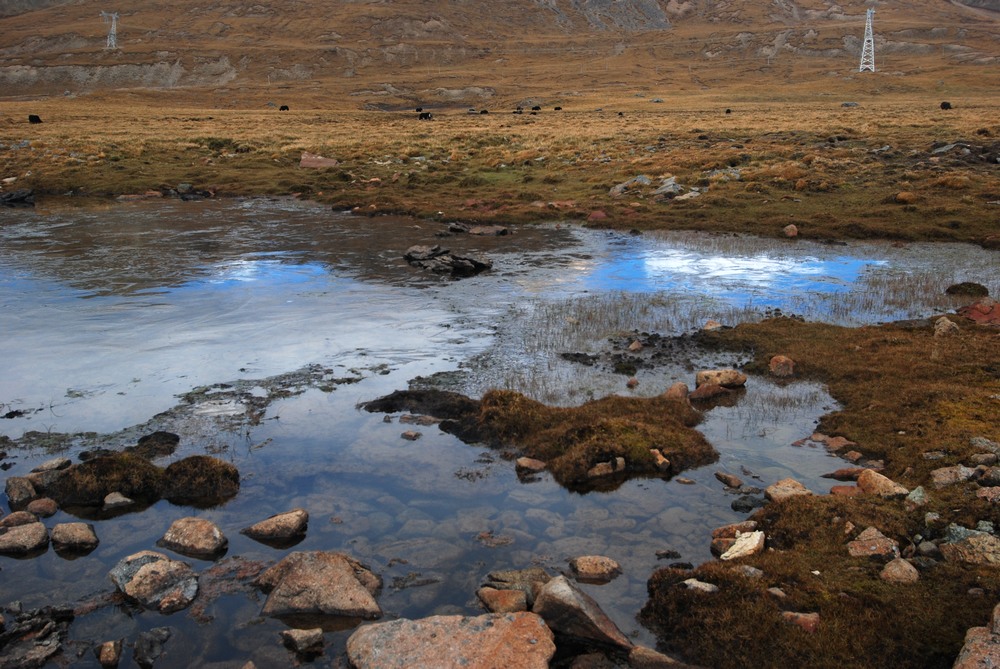 dsc_0421.jpg