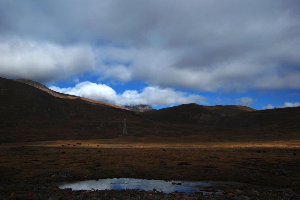 dsc_0426.jpg