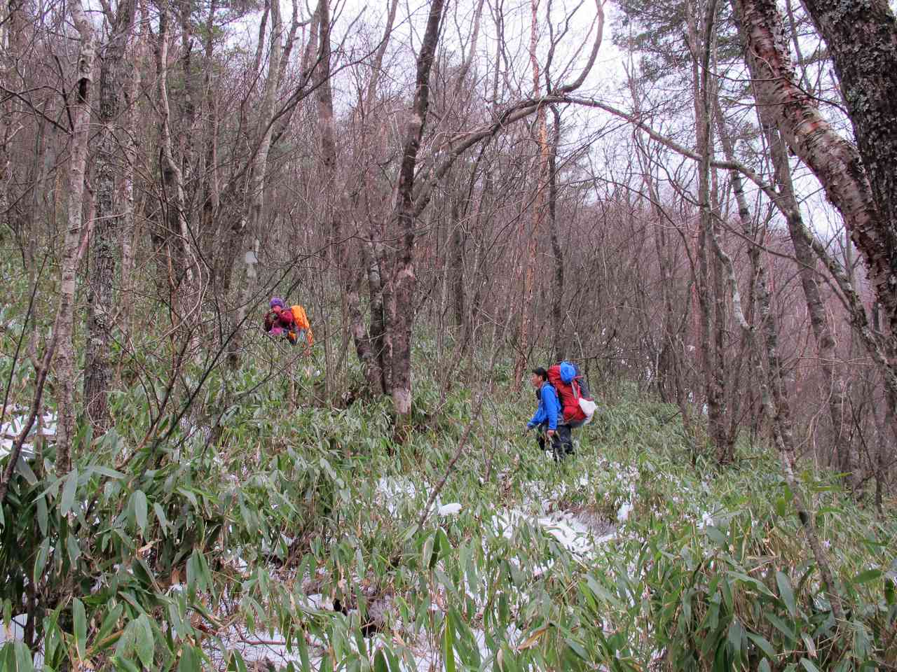2013.1. 162.jpg
