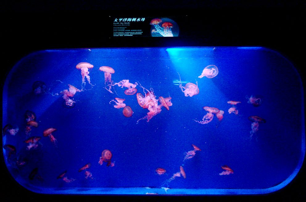 dsc09844.jpg